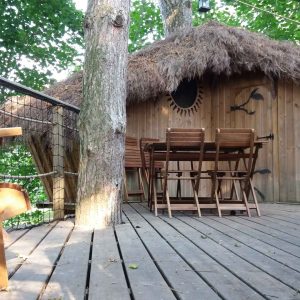 Cabane perchée en bois avec toit de chaume, entourée darbres verdoyants.