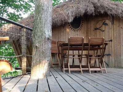 Cabane perchée en bois avec toit de chaume, entourée darbres verdoyants.