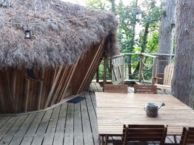 Hébergement insolite en Bourgogne : cabane en bois avec toit de chaume et terrasse en bois.