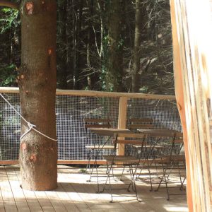 Cabane perchée en bois avec terrasse autour dun arbre, au cœur de la forêt.