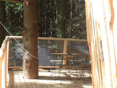 Cabane perchée en bois avec terrasse autour dun arbre, au cœur de la forêt.