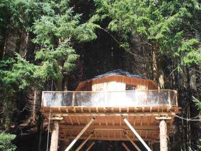 Cabane perchée en bois, entourée darbres majestueux en Auvergne-Rhône-Alpes.