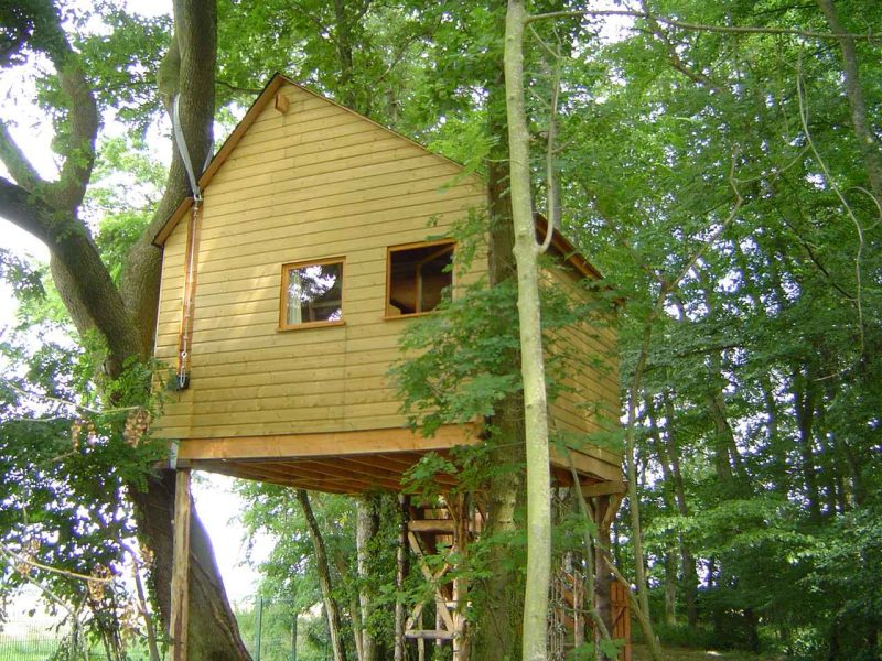 Cabane dans les arbres en bois, perchée au milieu dune forêt verdoyante.
