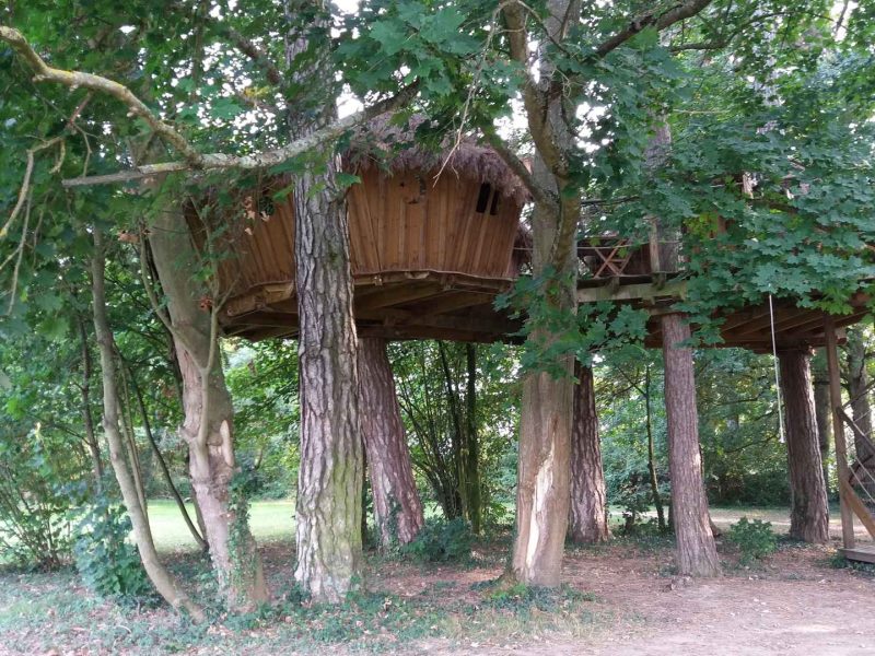 Cabane perchée dans les arbres, entourée de verdure en Bourgogne. Un séjour unique !