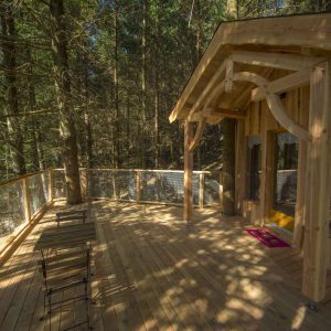Cabane perchée en bois avec terrasse ensoleillée, entourée darbres.
