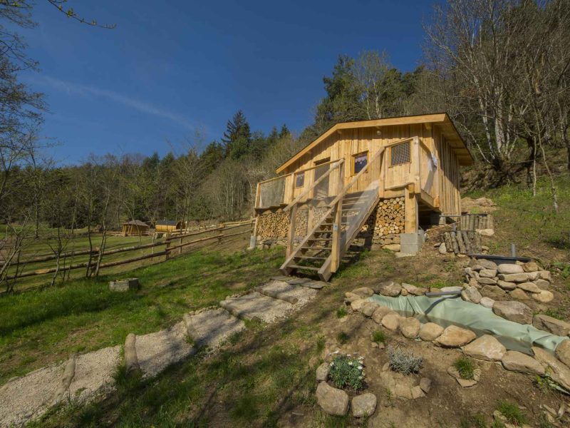 Cabane en bois au milieu de la nature, entourée darbres et de verdure.
