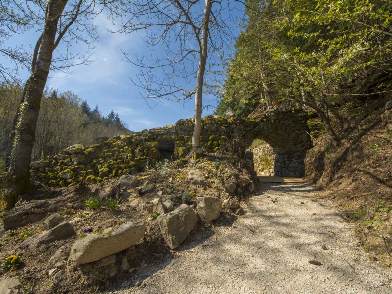 Hébergement en pleine nature avec un chemin menant à une arche en pierre verdoyante.