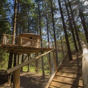 Cabane perchée dans les arbres, accessible par un chemin en bois, au cœur de la forêt.