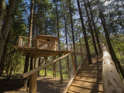 Cabane perchée dans les arbres, accessible par un chemin en bois, au cœur de la forêt.