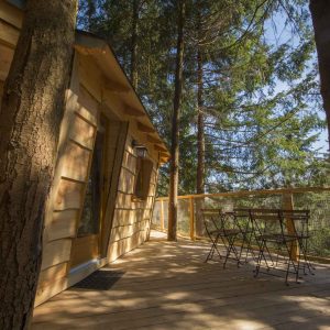 Cabane perchée en bois, entourée darbres, avec terrasse et mobilier extérieur.
