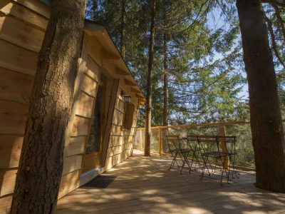 Cabane perchée en bois, entourée darbres, avec terrasse et mobilier extérieur.