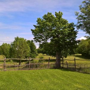 Hébergement insolite en Nouvelle-Aquitaine, avec vue sur un vaste champ verdoyant.
