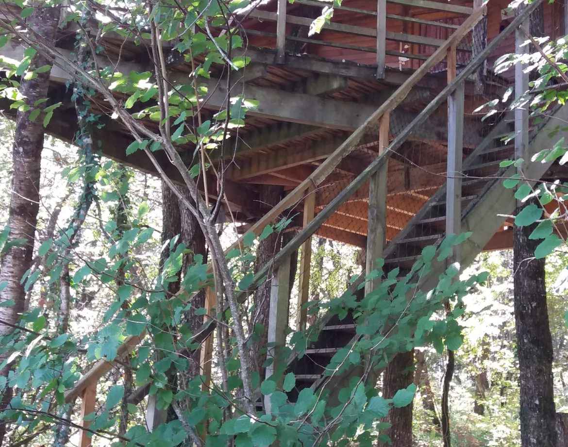Cabane perchée dans les arbres, entourée de verdure luxuriante en Nouvelle-Aquitaine.