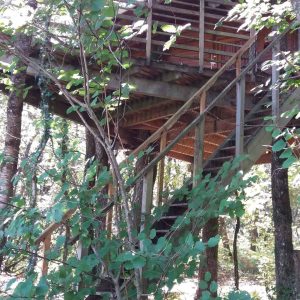 Cabane perchée dans les arbres, entourée de verdure luxuriante en Nouvelle-Aquitaine.