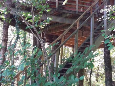 Cabane perchée dans les arbres, entourée de verdure luxuriante en Nouvelle-Aquitaine.