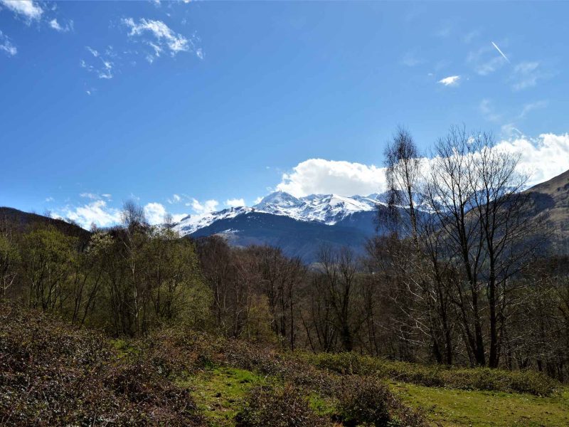 Chalet en montagne avec vue imprenable sur les sommets enneigés et la nature environnante.