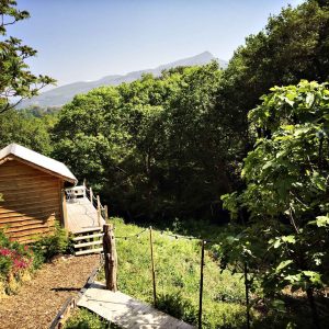 Cabane en bois nichée dans la verdure, avec vue sur les montagnes en Aquitaine.