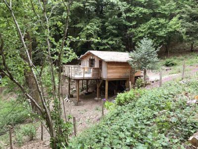 Cabane perchée en bois, entourée de verdure, offrant une vue paisible sur la nature.