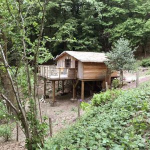 Cabane perchée en bois dans les arbres, entourée de verdure luxuriante à Limousin.