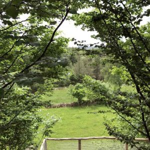 Cabane perchée dans les arbres, entourée de verdure luxuriante et paisible.