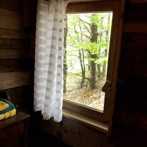 Cabane en bois à Limousin, vue sur la nature à travers une fenêtre avec rideau.