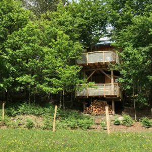 Cabane perchée dans les arbres, entourée de verdure luxuriante et de fleurs sauvages.