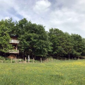 Cabane perchée dans les arbres, entourée de verdure et de fleurs jaunes.