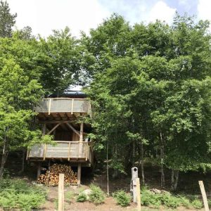 Cabane perchée en bois, entourée darbres verdoyants et de bûches empilées.