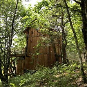 Cabane perchée en bois, entourée de verdure luxuriante dans le Limousin.