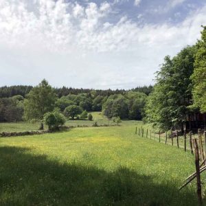 Hébergement insolite en Limousin, cabane perchée entourée de verdure et de champs fleuris.