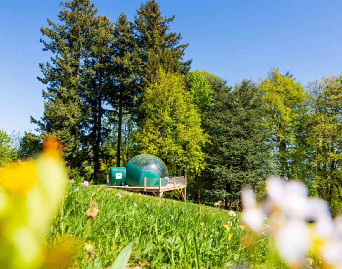 Hébergement insolite en bulle transparente, entouré de verdure en Auvergne-Rhône-Alpes.
