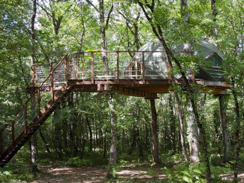 Cabane dans les arbres, perchée au milieu dune forêt verdoyante.