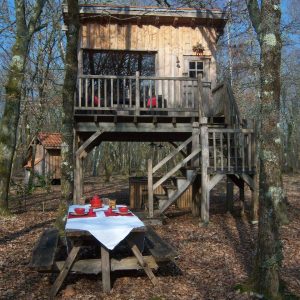 Cabane perchée en bois dans les arbres, avec une table dressée en pleine nature.
