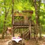 Auprès de mon arbre…