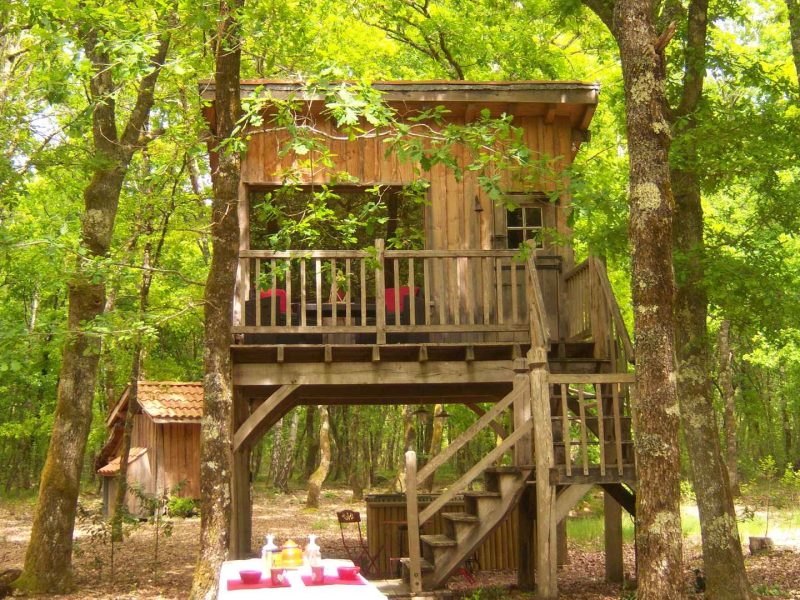 Cabane perchée dans les arbres, entourée de verdure, avec une table en bois.