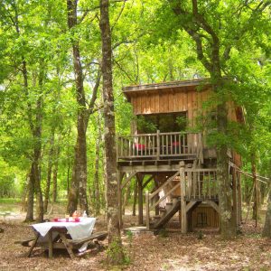 Cabane perchée en bois, entourée darbres verdoyants et dune table en plein air.