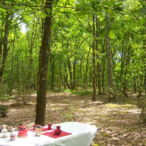 Hébergement insolite en Aquitaine : table dressée sous les arbres verdoyants.