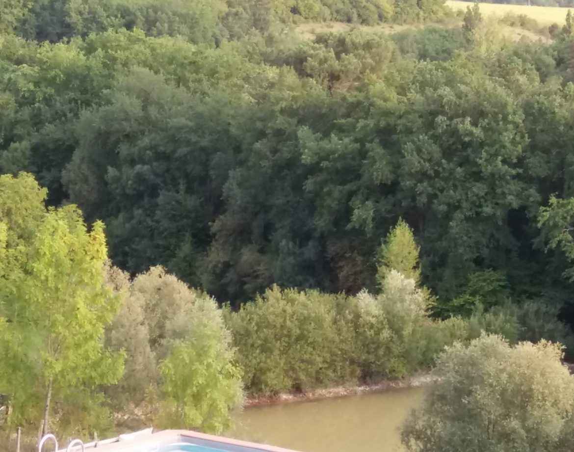 Hébergement insolite en Nouvelle-Aquitaine avec piscine et vue sur la nature verdoyante.