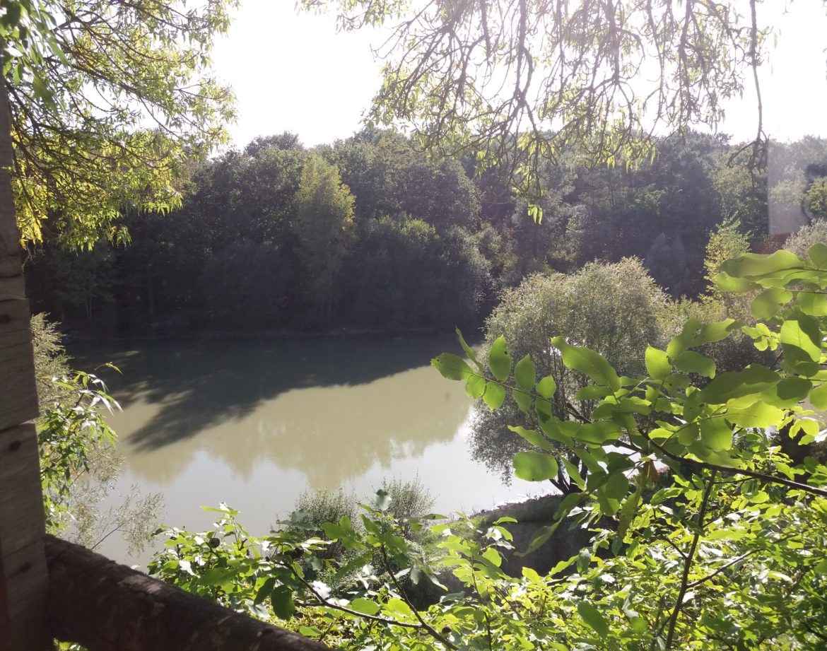 Hébergement insolite en cabane, vue paisible sur un lac entouré de verdure.