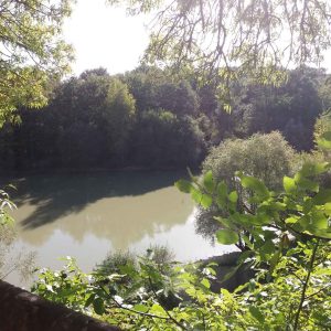 Hébergement insolite en cabane, vue paisible sur un lac entouré de verdure.