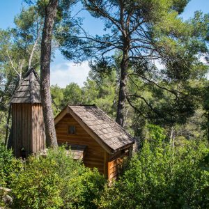 Cabane en bois nichée dans la verdure, entourée de pins majestueux.