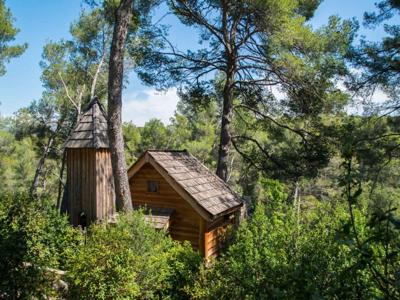 Cabane en bois nichée parmi les arbres, entourée de verdure luxuriante.