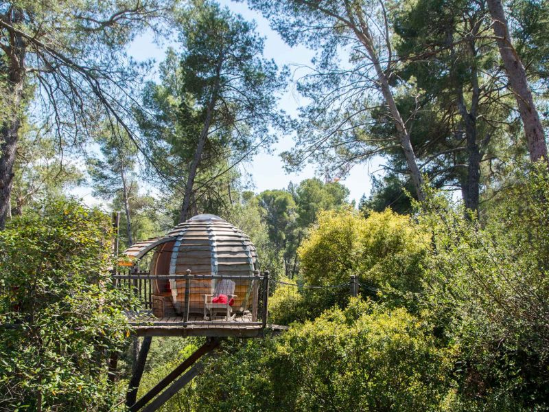 Cabane en bois perchée dans les arbres, entourée de verdure en Provence-Alpes-Côte dAzur.