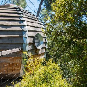 Cabane en bois avec une fenêtre ronde, nichée parmi la verdure en Provence-Alpes-Côte dAzur.