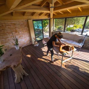 Hébergement insolite en Provence-Alpes-Côte dAzur, avec espace bien-être et vue sur la piscine.