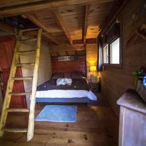 Chalet en bois cosy avec une échelle menant à une chambre douillette.