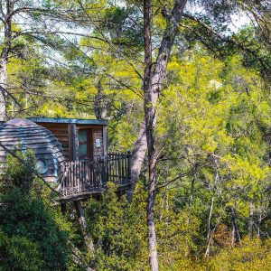 Cabane perchée dans les arbres, entourée de verdure en Provence-Alpes-Côte dAzur.