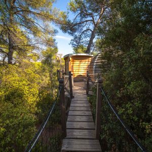 Cabane perchée en bois, accessible par un ponton, entourée de verdure en Provence.