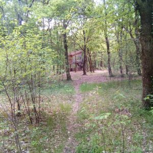 Cabane perchée en Aquitaine, nichée au cœur dune forêt verdoyante.