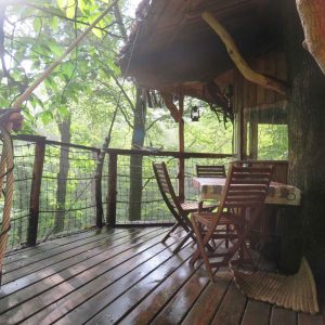 Cabane perchée dans les arbres, avec terrasse en bois et vue sur la forêt verdoyante.